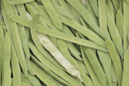 Matèria