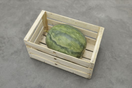 Matèria