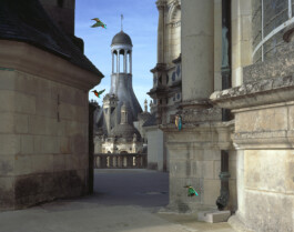 Matèria
